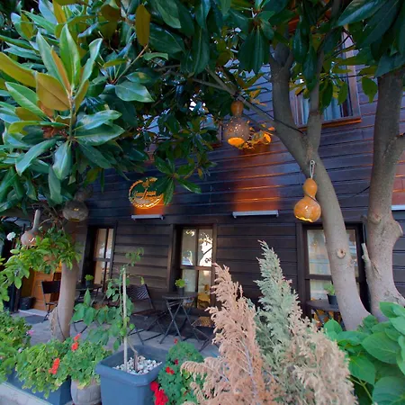 Yusufpasa Konagi - Special Class 3*